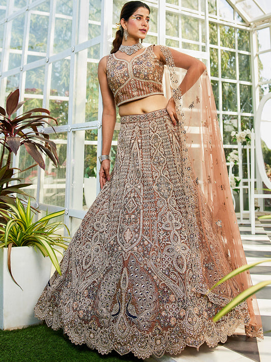 Brown net with Beads & Zarkan embroidery  Lehenga choli & Dupatta