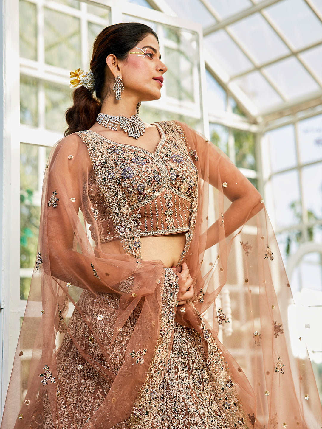 Brown net with Beads & Zarkan embroidery  Lehenga choli & Dupatta