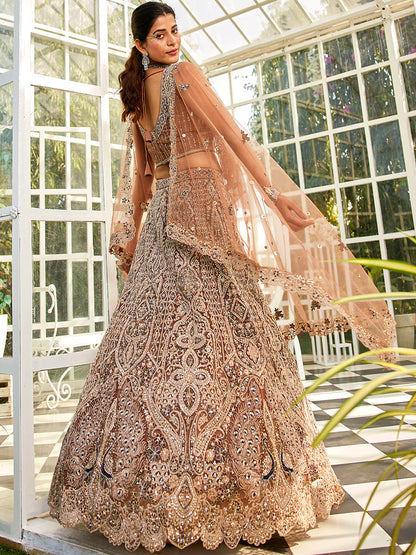Brown net with Beads & Zarkan embroidery  Lehenga choli & Dupatta