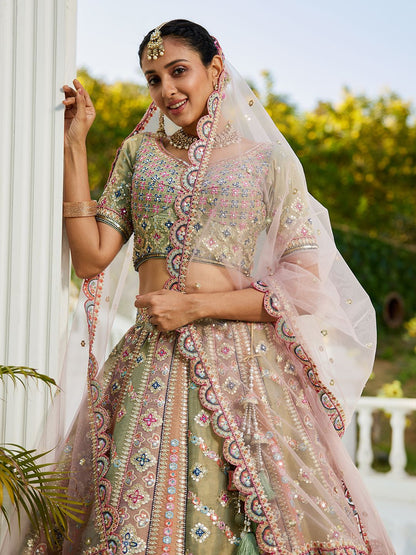 Multi colour Bridel net and Gotapatti & Moti embroidery  Lehenga choli & Dupatta