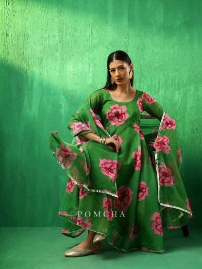 Adaa Green Carnation Organza Anarkali Set