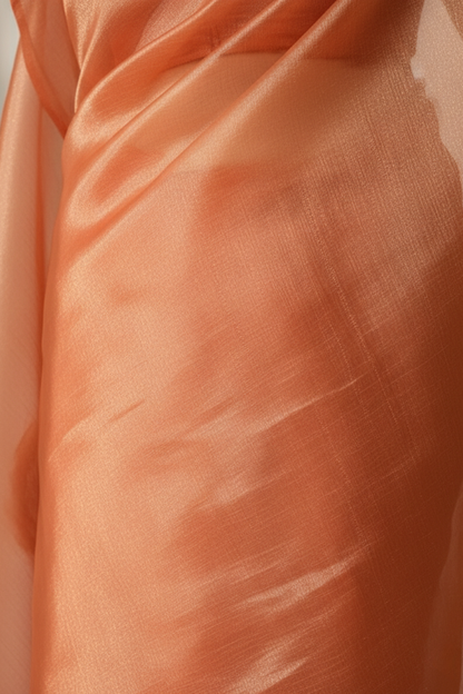 Dhiyona ST Rani Copper Banarasi Tissue Saree with Blouse Fabric