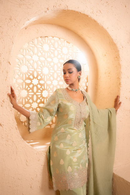 Isvan Tissue Embroidered Green  Suit Set