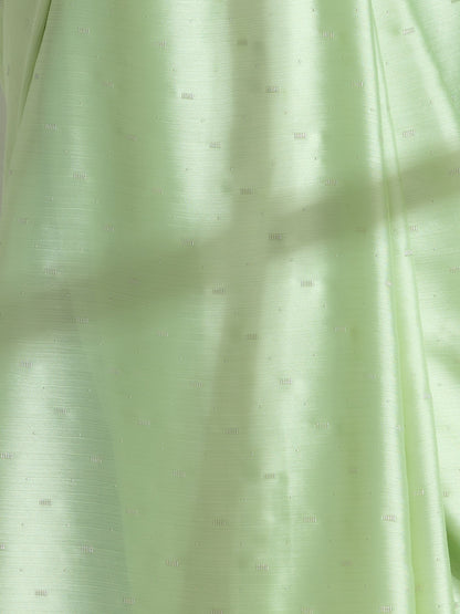 Dhiyona ST Mint Silver Printed Butter Chiffon Saree