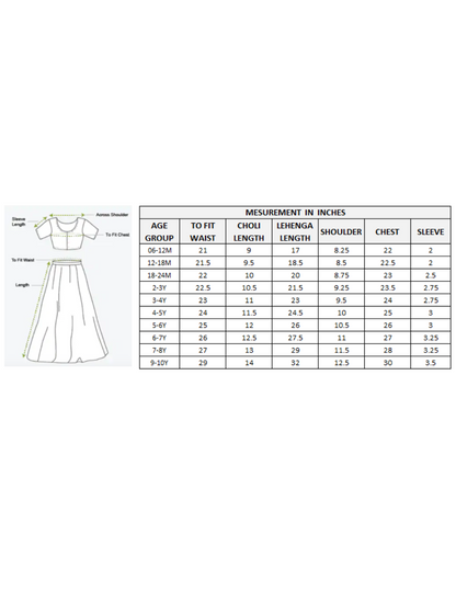 Girls printed chanderi lurex ghaghra choli set