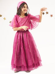 Bollywood Tadka Wine Ghagra Choli Dupatta set for Girls