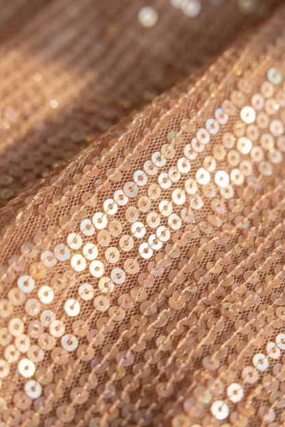 Dhiyona ST Bisque Cream Knitted Sequin Saree with Blouse Fabric
