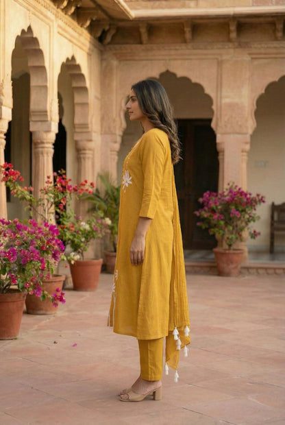 Tanu amber cotton embroidery suit set