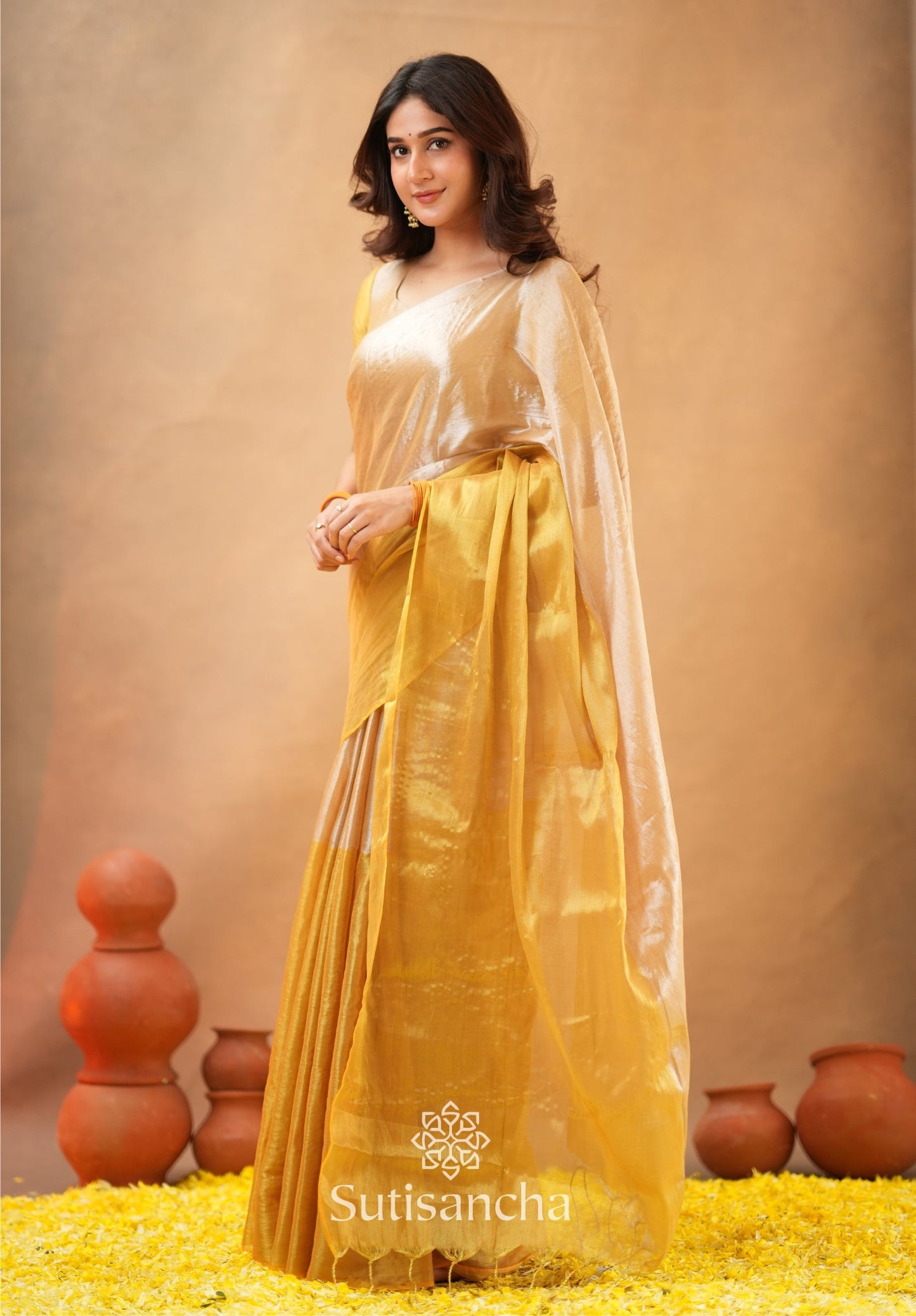 Dhiyona SS Regal Split Elegance Handloom Tissue Cotton Saree