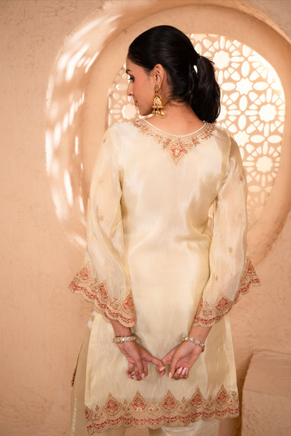 Sargi Tissue Embroidered Cream  Suit Set