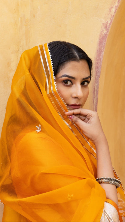 Amber Orange Taffeta Silk Anarkali Set