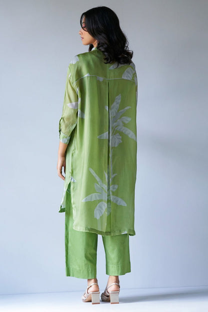 Women's Turtle Green and Grey Bemberg Silk Printed Co-ord Set