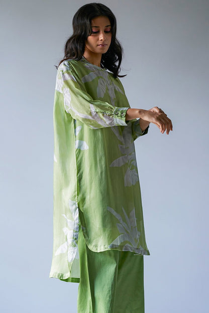 Women's Turtle Green and Grey Bemberg Silk Printed Co-ord Set