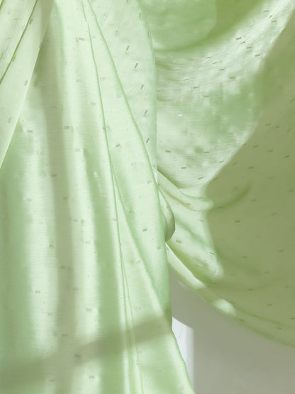 Dhiyona ST Mint Silver Printed Butter Chiffon Saree