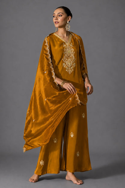 Meha Kurta Set