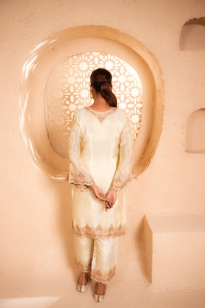 Sargi Tissue Embroidered Cream  Suit Set