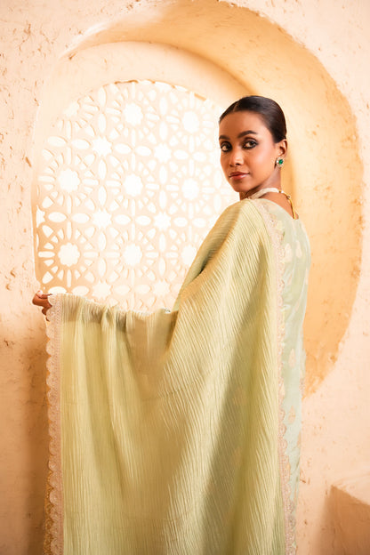 Isvan Tissue Embroidered Green  Suit Set