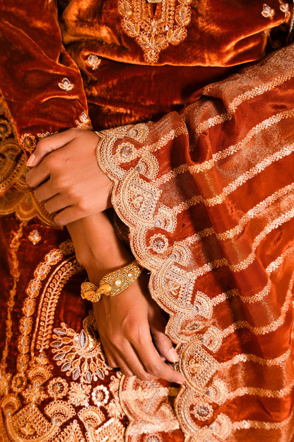 Saaz Silk Velvet Embroidered Rust  Suit Set