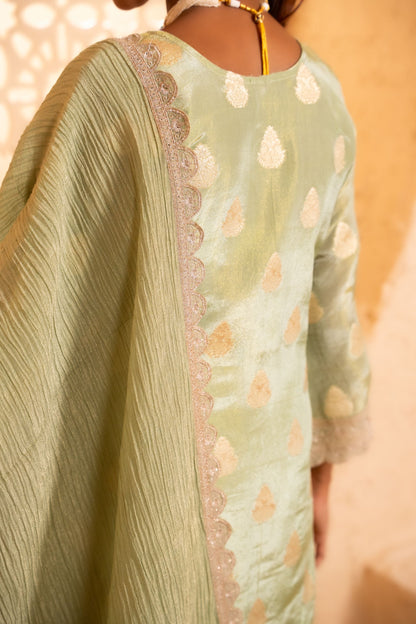 Isvan Tissue Embroidered Green  Suit Set