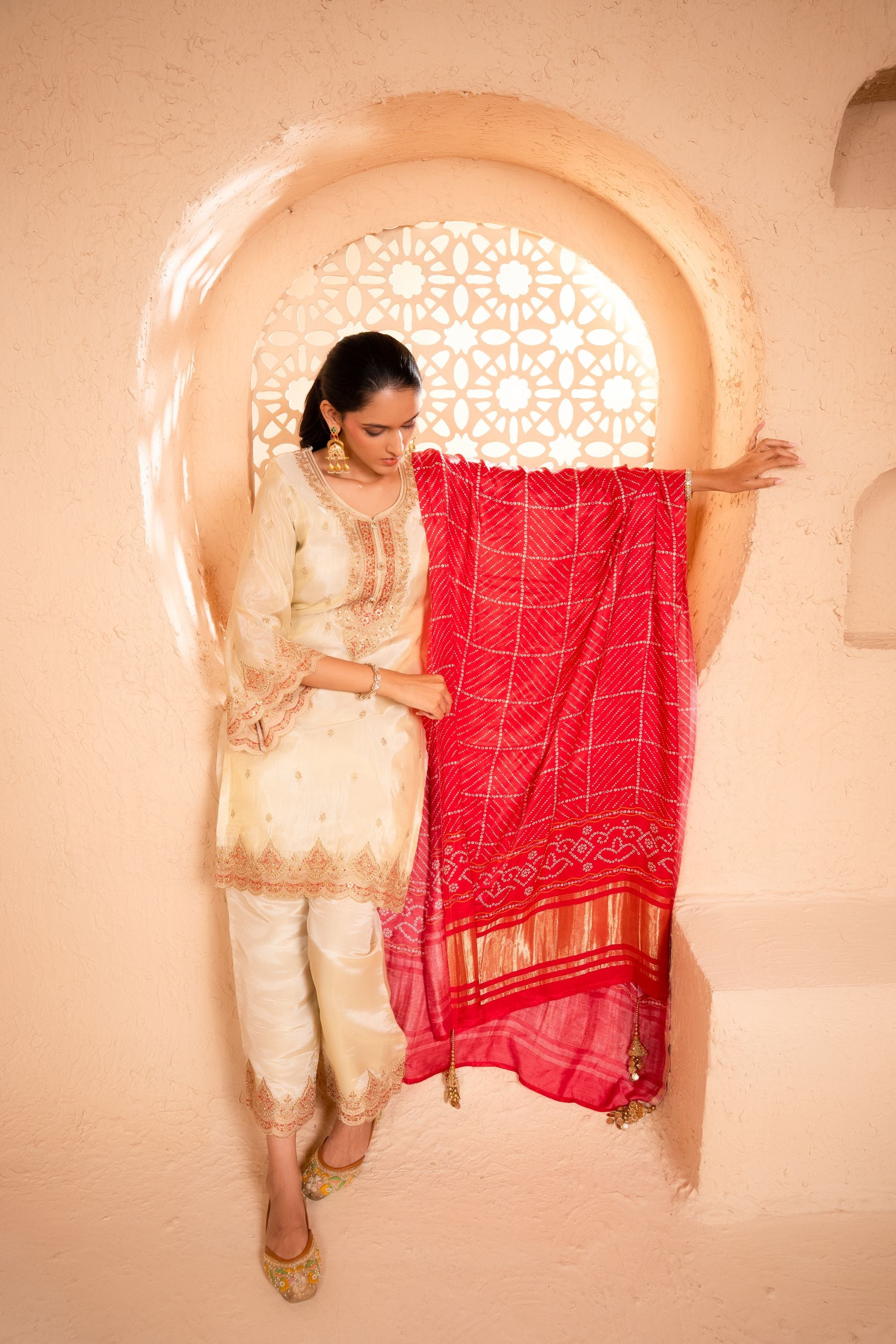 Sargi Tissue Embroidered Cream  Suit Set
