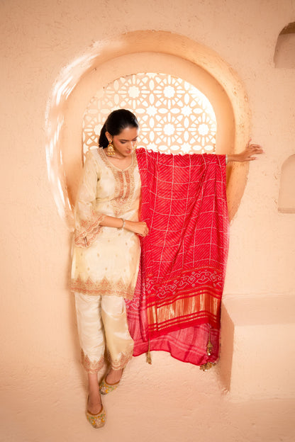 Sargi Tissue Embroidered Cream  Suit Set