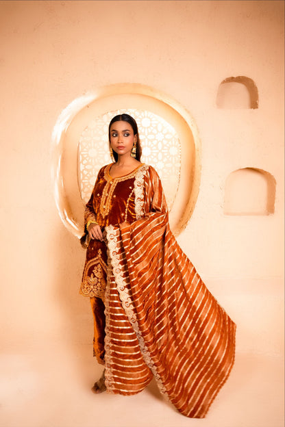 Saaz Silk Velvet Embroidered Rust  Suit Set
