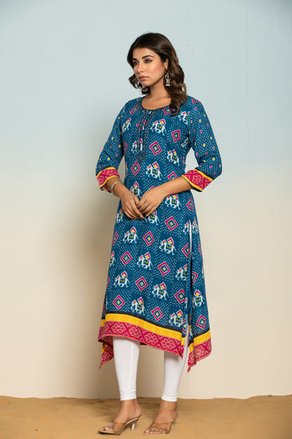 Palki Navy Printed Work Kurta