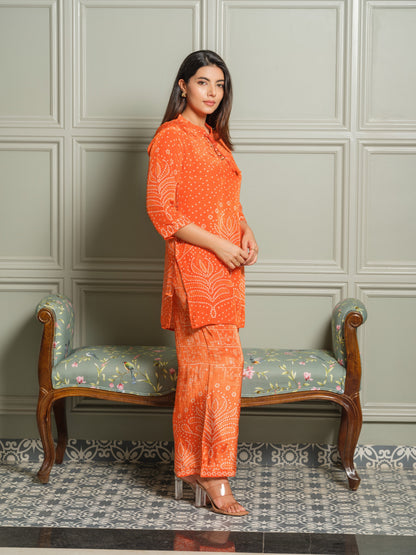 Palash Tango Printed co-ord set