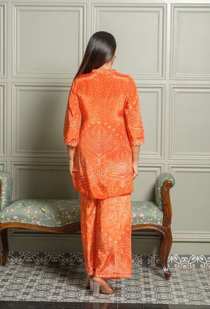 Palash Tango Printed co-ord set