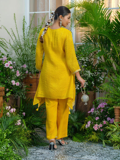 Palash canary work Premium co-ord set S2