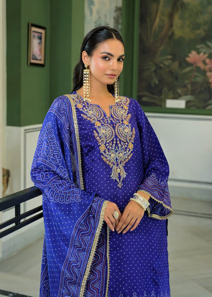 Dagdai Prussian Emboridery Full Work Suit Set
