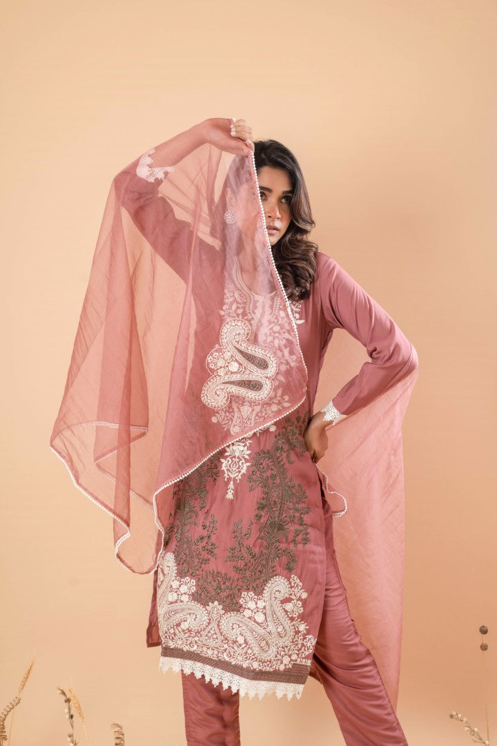 MUDRA RAISIN EMBROIDERY SUIT SET