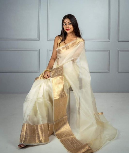 Dhiyona HH Off-White Banarasi Skirt Border Soft Organza Saree | Organza Saree