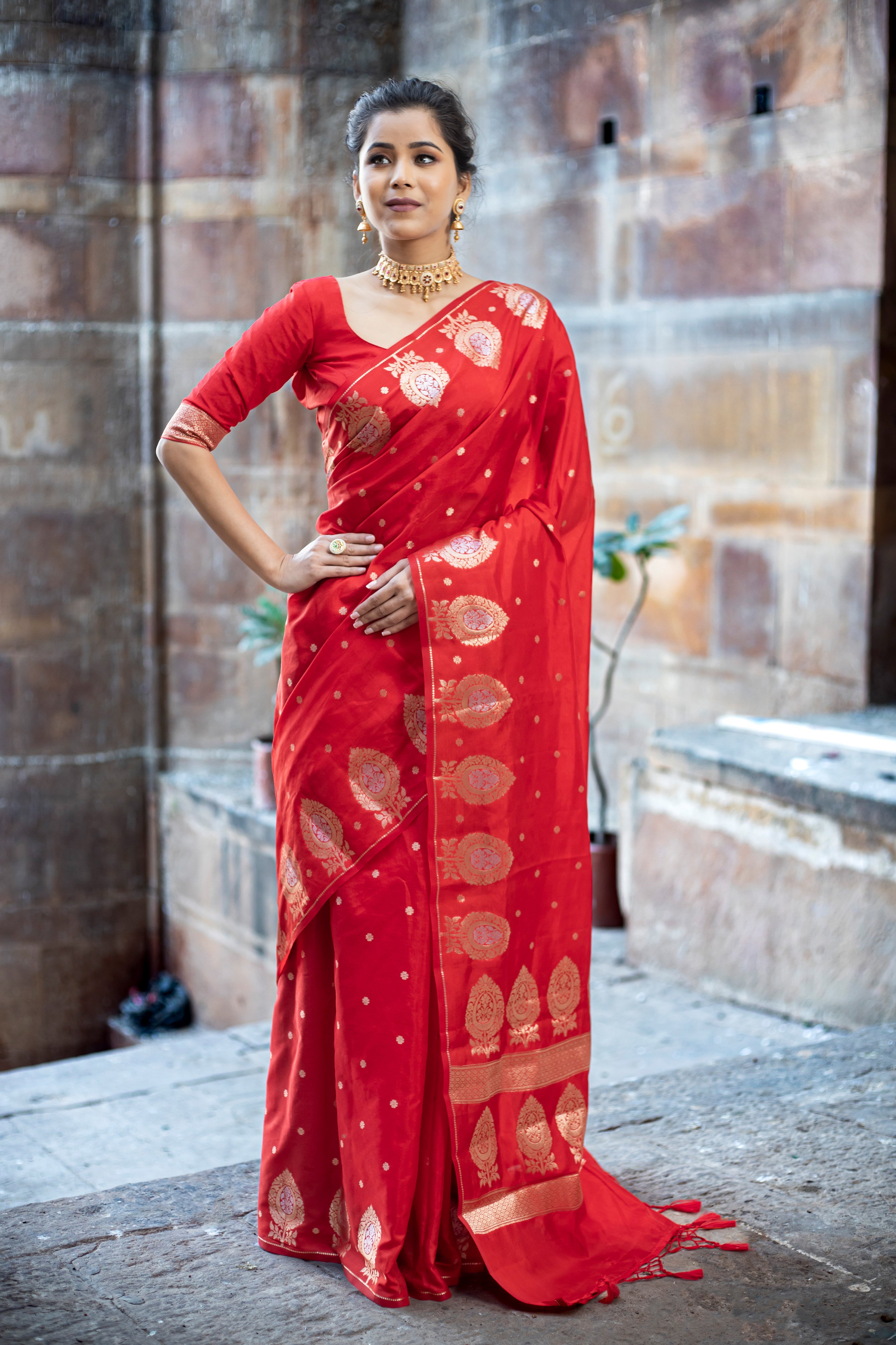 Dhiyona HH Sacrlet Red Alfi Motif Banarasi Zari Border Saree And Pallu