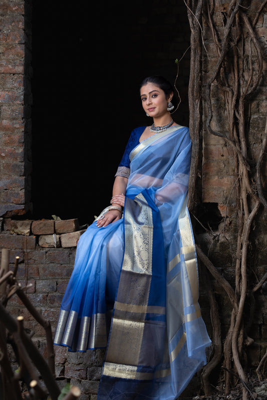 Dhiyona HH Subtle Blue Banarasi Woven Soft Organza Skirt Border Saree