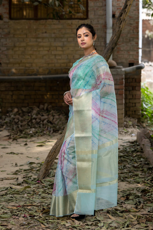 Dhiyona HH Off Blue Vibrant Organza Silk Saree with Mesmerizing Digital Print and Zari Border