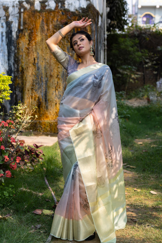 Dhiyona HH Gradient Organza Silk Saree with Banarasi Zari Border | New Leaf Pattern