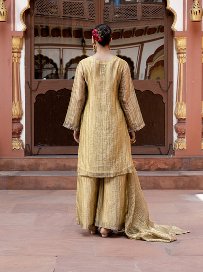 Pavni Sunlit Full Work Suit Set