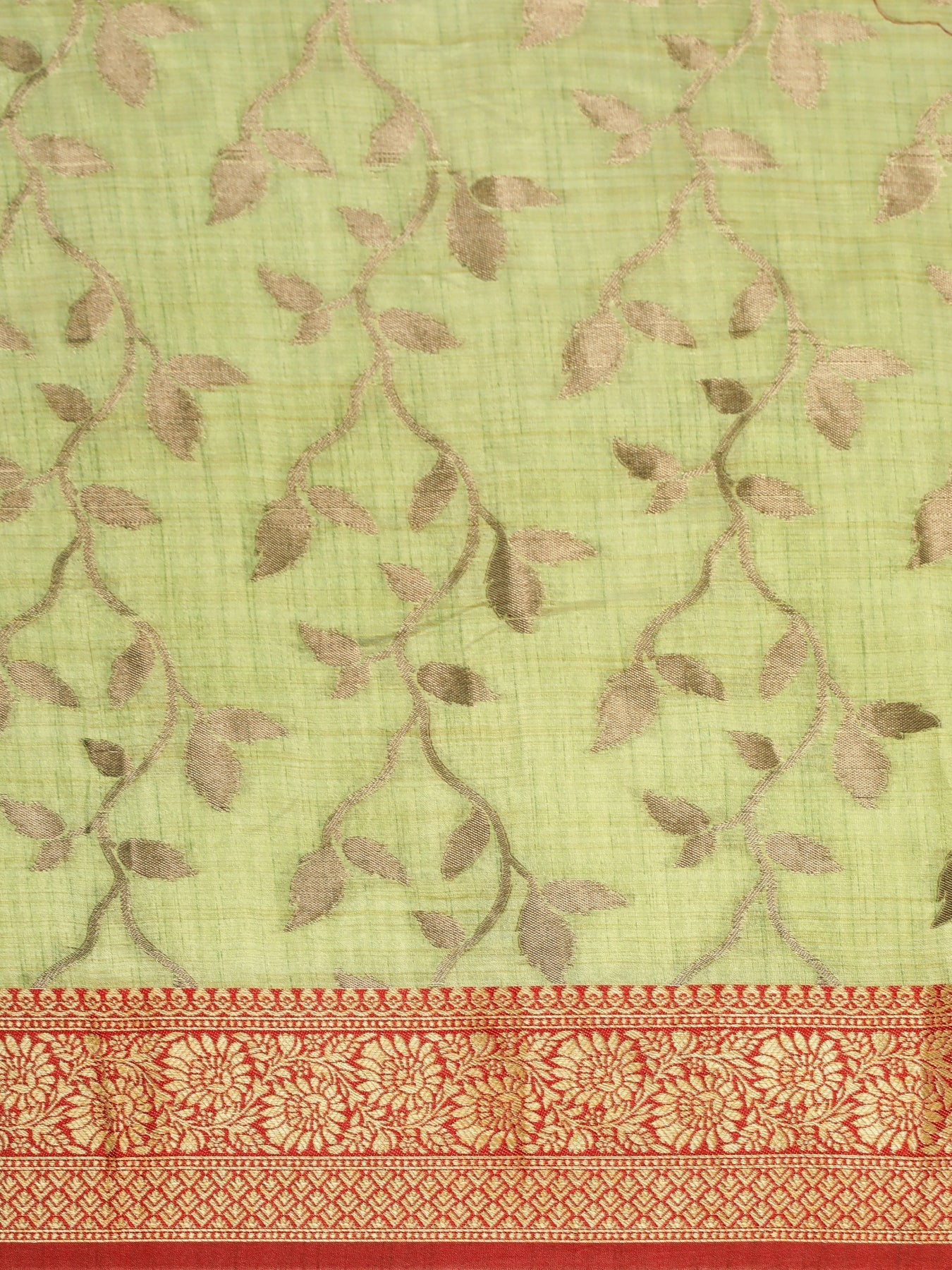 Dhiyona GR Women's Rewaa Kiwi Green Zari Woven Design Banarasi Pure Cotton Saree