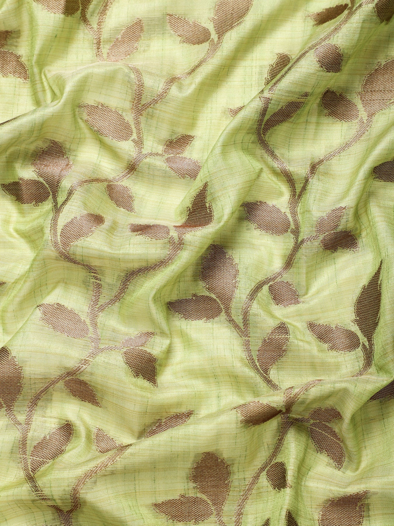 Dhiyona GR Women's Rewaa Kiwi Green Zari Woven Design Banarasi Pure Cotton Saree