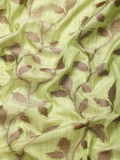 Dhiyona GR Women's Rewaa Kiwi Green Zari Woven Design Banarasi Pure Cotton Saree
