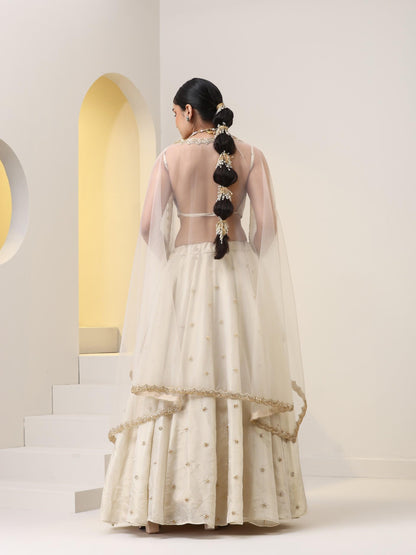 Dhiyona ST Enchanting Pure Silk Tissue Beaded Lehenga with Net Dupatta and Blouse Fabric