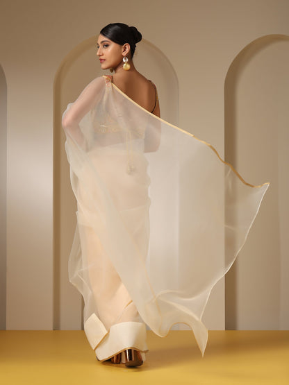 Dhiyona ST Morning Dew Organza Cloud Saree