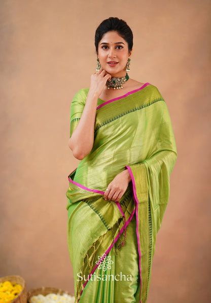 Dhiyona SS Sutisancha Parrot Handloom Cotton Tissue Saree