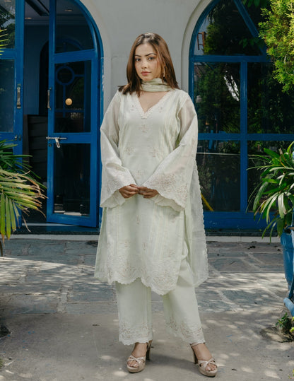 Jogan chanderi embroidered lace work light green suit set