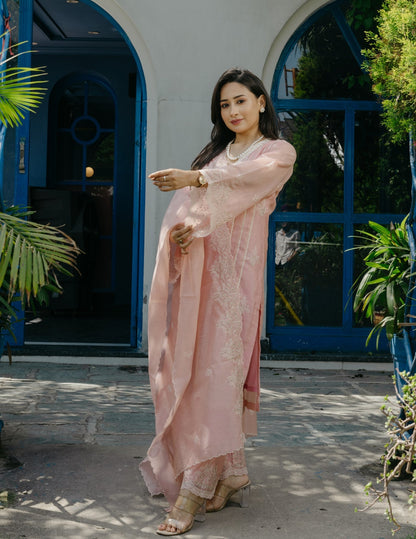 Jogan chanderi lace work  embroidered pink suit set