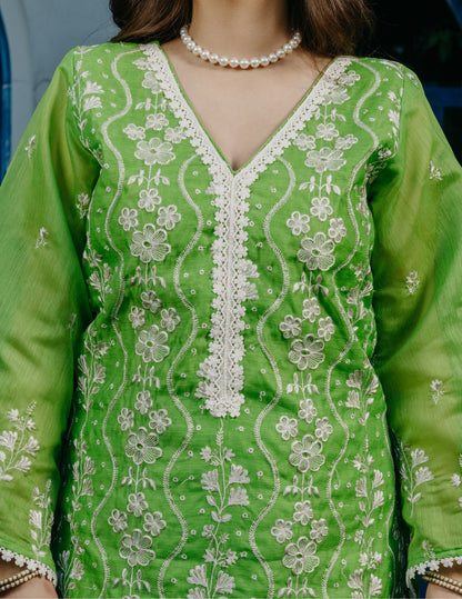 Ruh chanderi embroidered green a line suit set