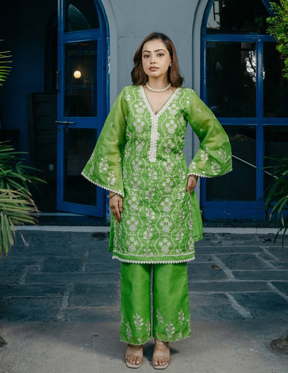 Ruh chanderi embroidered green a line suit set