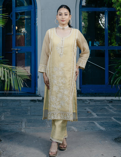 Ibadat chanderi embroidered yellow suit set