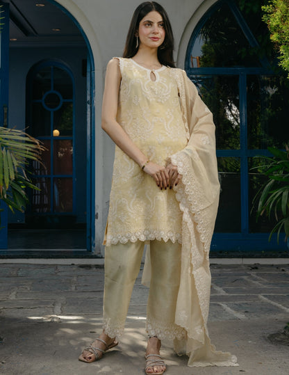 Smrti mul chanderi embroidered yellow suit set
